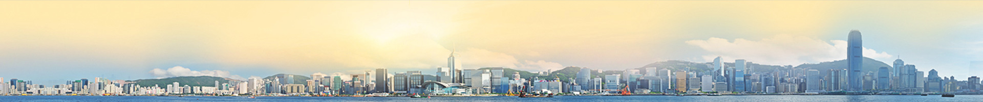 Executive Vice Chairman