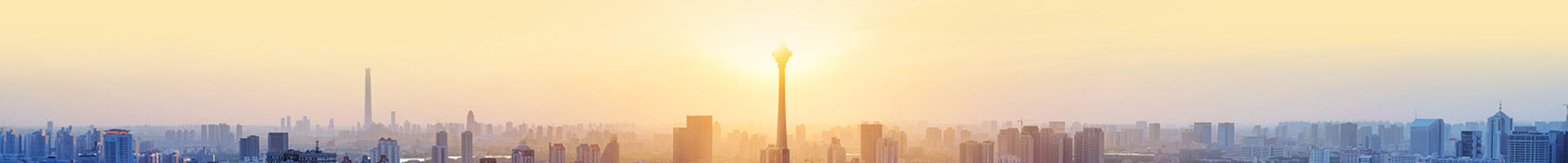 Overseas Committees and Branches