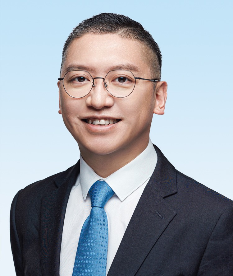 副主席  林至颖先生