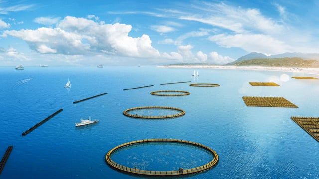 珠海市海洋发展集团与小鲸大合科技共研智能投喂无人船  推动深远海养殖提质增效