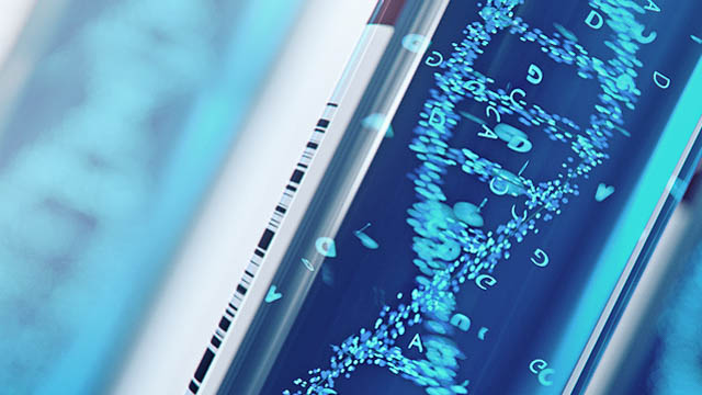 华大集团入选2025年《财富》中国科技50强