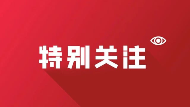 琴澳游”持续升温——春运首周横琴口岸迎来客流高峰